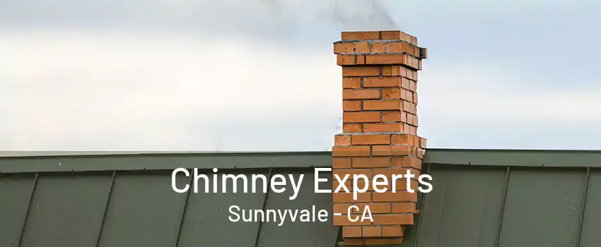 Chimney Experts Sunnyvale - CA