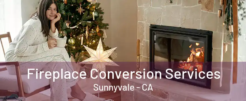 Fireplace Conversion Services Sunnyvale - CA