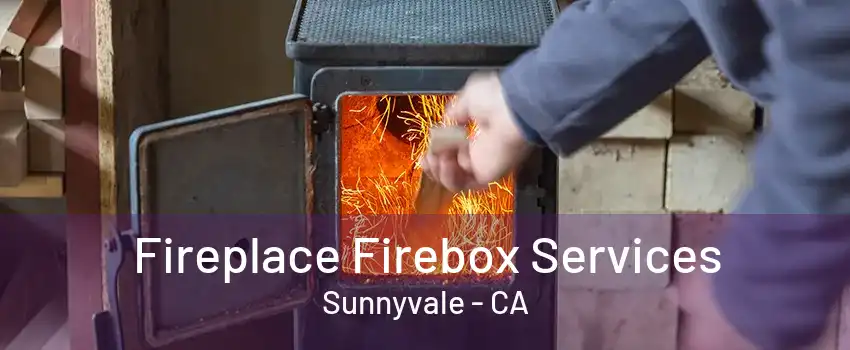 Fireplace Firebox Services Sunnyvale - CA