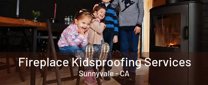 Fireplace Kidsproofing Services Sunnyvale - CA