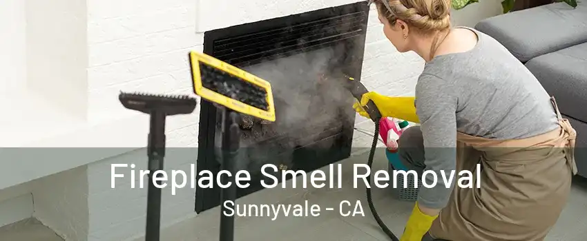 Fireplace Smell Removal Sunnyvale - CA