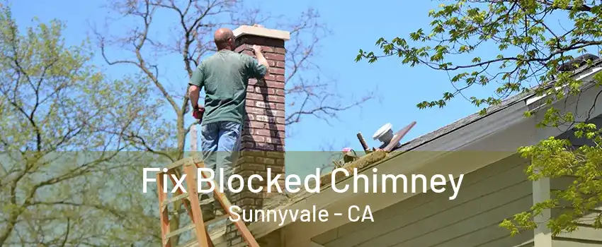 Fix Blocked Chimney Sunnyvale - CA