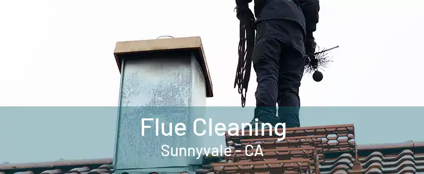 Flue Cleaning Sunnyvale - CA