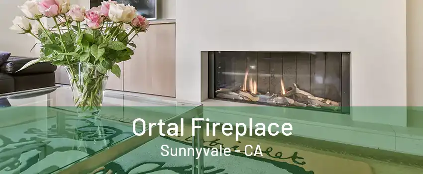 Ortal Fireplace Sunnyvale - CA